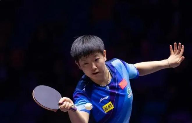 应的公平赔 应的公平赔